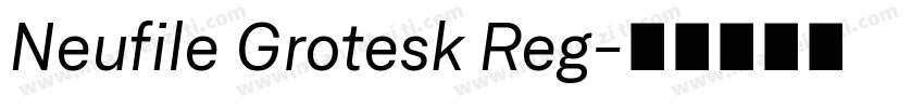 Neufile Grotesk Reg字体转换